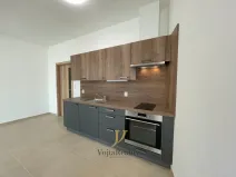 Pronájem bytu 1+kk, Olomouc - Hodolany, Elišky Krásnohorské, 45 m2