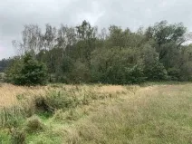 Dražba louky, Kostelec nad Černými lesy, 15764 m2