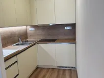 Pronájem bytu 1+kk, České Budějovice, Česká, 29 m2