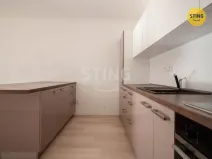 Pronájem bytu 1+kk, Jihlava, Halasova, 43 m2