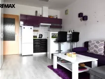 Prodej bytu 1+kk, Hradec Králové - Třebeš, Svatojánská, 33 m2