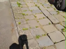 Pronájem garáže, Držovice, 20 m2