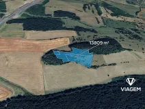 Prodej podílu lesa, Prackovice nad Labem, 2761 m2