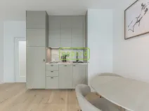 Pronájem bytu 1+kk, Praha, Krymská, 24 m2
