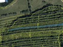 Prodej lesa, Hradčovice, 2504 m2
