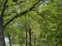 Prodej pozemku pro bydlení, Katovice, 3304 m2