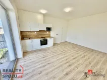 Pronájem bytu 1+kk, Brno - Trnitá, Křenová, 32 m2