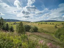 Prodej ubytování, Loučná pod Klínovcem - Háj, 380 m2