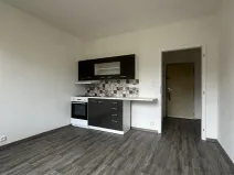 Pronájem bytu 1+1, Duchcov, Osecká, 36 m2