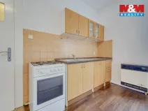 Pronájem bytu 1+kk, Plzeň - Doubravka, Masarykova, 28 m2