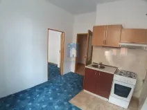 Pronájem bytu 1+1, Plzeň, Spolková, 35 m2
