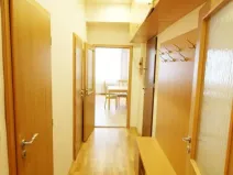 Prodej bytu 1+1, Praha - Karlín, Křižíkova, 46 m2
