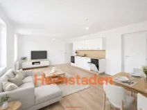 Pronájem bytu 2+kk, Havířov - Město, Hlavní třída, 66 m2