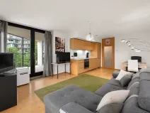 Prodej bytu 2+kk, Praha - Žižkov, Pitterova, 55 m2