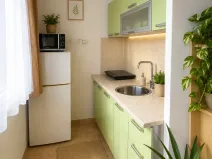 Prodej bytu 1+kk, Pardubice, Ohrazenická, 26 m2