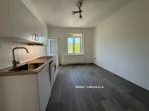 Pronájem bytu 2+1, Ústí nad Labem - Střekov, Purkyňova, 59 m2