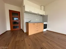 Pronájem bytu 1+kk, Opava, Hálkova, 33 m2