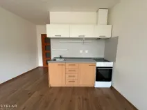 Pronájem bytu 1+kk, Opava, Hálkova, 33 m2