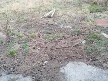 Pronájem pozemku, Určice, 400 m2