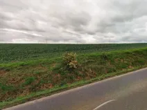 Prodej pozemku pro bydlení, Polepy, 9044 m2