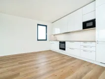 Pronájem bytu 4+kk, Praha - Vysočany, Svatošových, 99 m2