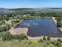 Prodej rybníku, Údlice, 2463 m2