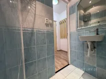 Pronájem bytu 1+1, Bílina, Alšova, 27 m2