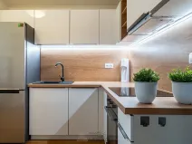 Prodej bytu 3+kk, Brno, Hrnčířská, 66 m2
