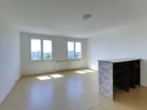 Prodej bytu 1+kk, Plzeň - Severní Předměstí, Hodonínská, 31 m2