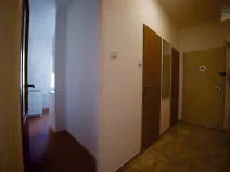 Pronájem bytu 2+1, Brno, Družstevní, 54 m2