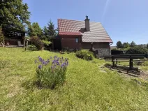 Prodej chaty, Zábřeh - Dolní Bušínov, 95 m2