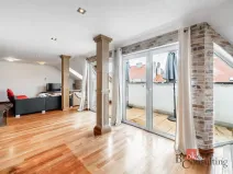 Prodej bytu 6+kk a větší, Praha - Žižkov, Hartigova, 187 m2