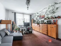 Prodej bytu 6+kk a větší, Praha - Žižkov, Hartigova, 187 m2