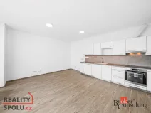 Pronájem bytu 1+kk, Plzeň - Jižní Předměstí, Železná, 42 m2