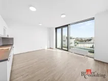Pronájem bytu 1+kk, Plzeň - Jižní Předměstí, Železná, 42 m2