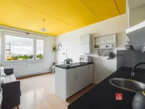 Prodej bytu 1+1, Plzeň - Bolevec, Žlutická, 46 m2