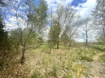 Prodej pozemku pro bydlení, Soběslav - Soběslav III, Wilsonova, 1132 m2