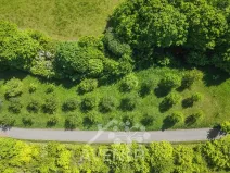Prodej sadu/vinice, Nedašov, 1282 m2