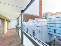 Pronájem bytu 2+kk, Praha - Karlín, Šaldova, 54 m2