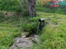 Prodej chalupy, Bozkov, 126 m2