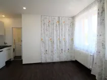 Pronájem bytu 1+kk, Plzeň - Východní Předměstí, Slovanská, 27 m2