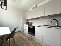 Pronájem bytu 2+1, Plzeň - Jižní Předměstí, Raisova, 56 m2