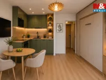Prodej bytu 1+kk, Ostrava - Zábřeh, Čujkovova, 27 m2