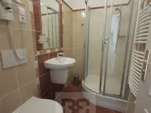 Pronájem bytu 1+kk, Praha - Vinohrady, Balbínova, 14 m2