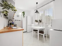Prodej bytu 2+1, Rakovník - Rakovník II, nábř. T. G. Masaryka, 50 m2