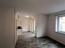 Pronájem bytu 1+kk, České Budějovice - České Budějovice 3, Riegrova, 46 m2