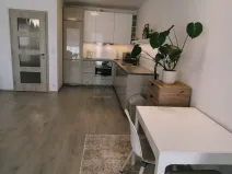 Pronájem bytu 1+kk, Plzeň, Kollárova, 56 m2