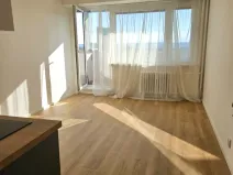 Pronájem bytu 1+kk, Praha, Kyselova, 23 m2