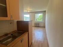 Pronájem bytu 1+kk, Ústí nad Labem, Vinařská, 31 m2
