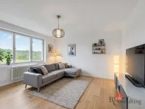 Prodej bytu 3+1, Zvoleněves, 71 m2